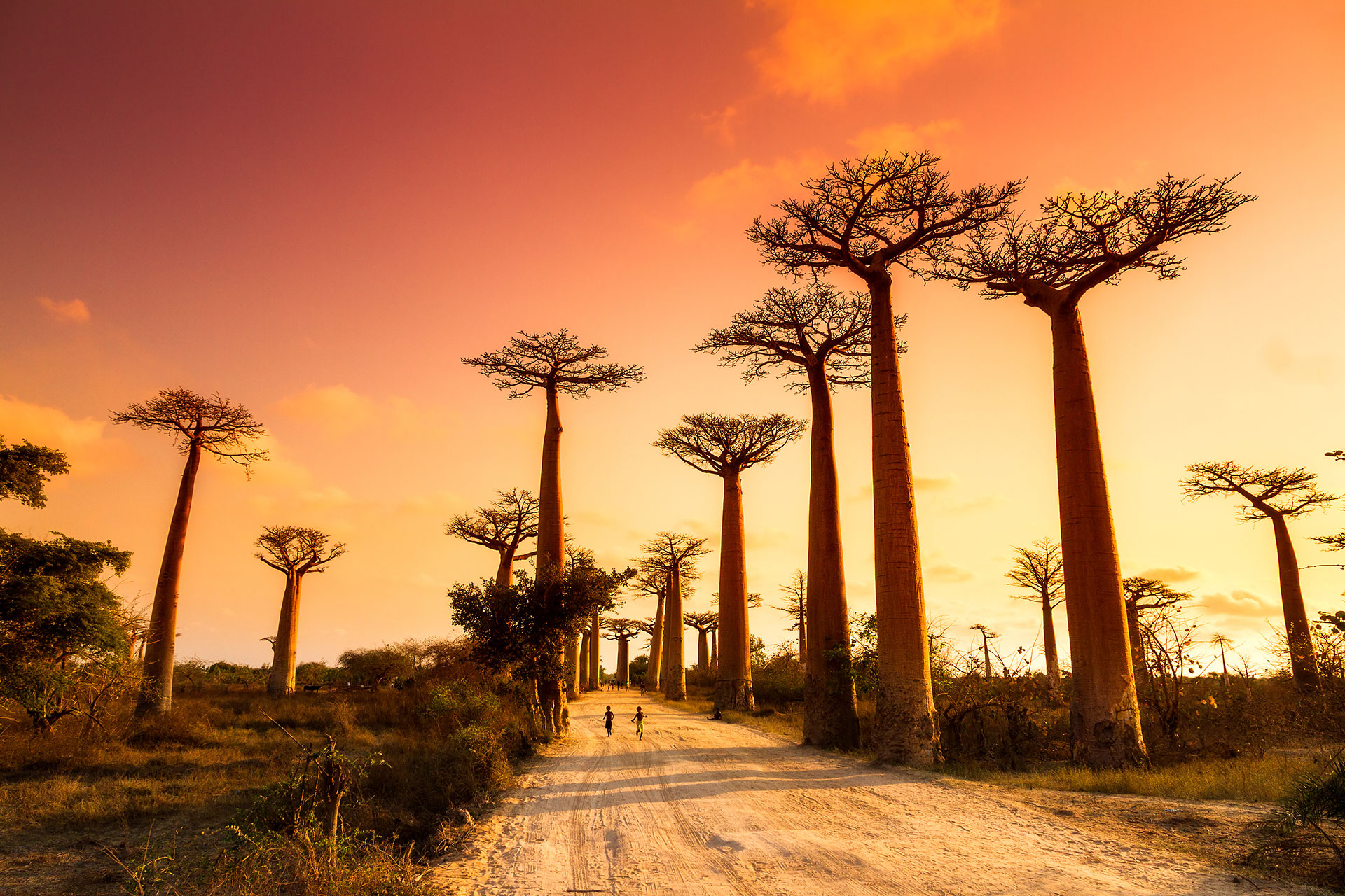 MadagascarAfrica
